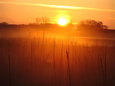 Sunrise Over Marsh in Big Stone County, MN - EARLY IN THE DAY by Mercedes Lawry