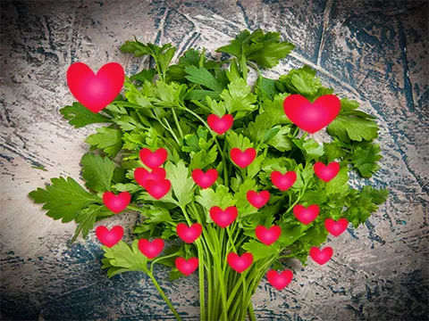 athe herb cilantro...and love - CILANTRO by Diane LeBlanc