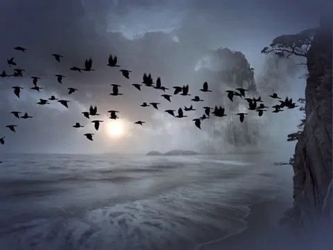 flock of raven during stratocumulus clouds - Night of Ravens by Grace Massey