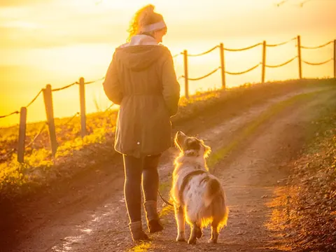 woman in brown coat holding white dog on brown dirt road during sunset - EVERY DAY SOMETHING DIFFERENT by Jane C. Miller