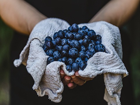 A person holding a bunch of blueberries